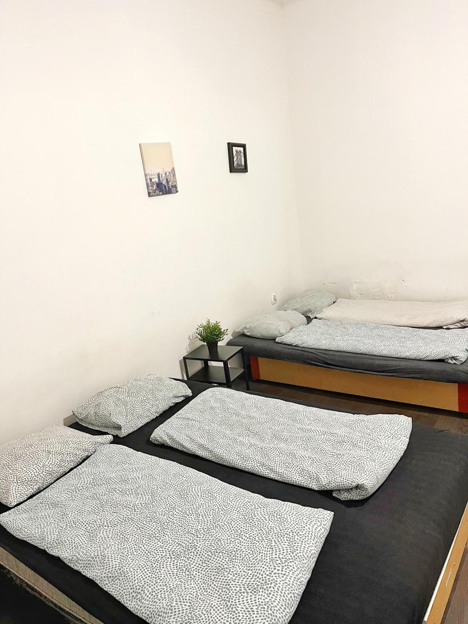 Nice Room In Old Town 克拉科夫 外观 照片